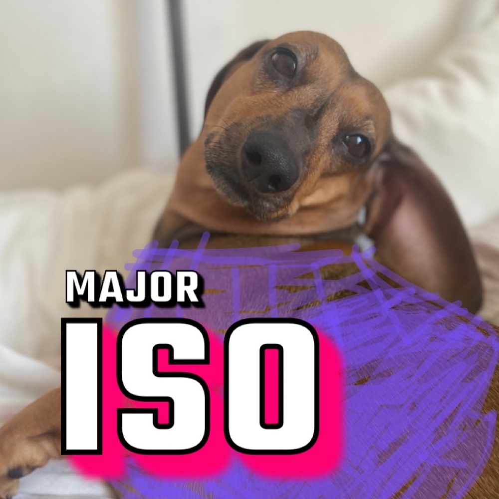 Major ISO!!! - Picture 1 of 3